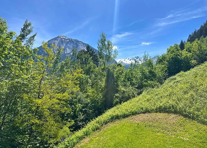 Borselier Vue Montagne, & Terrasse *