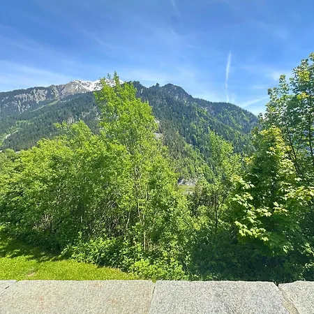 Borselier Vue Montagne, & Terrasse Holiday home La Plagne
